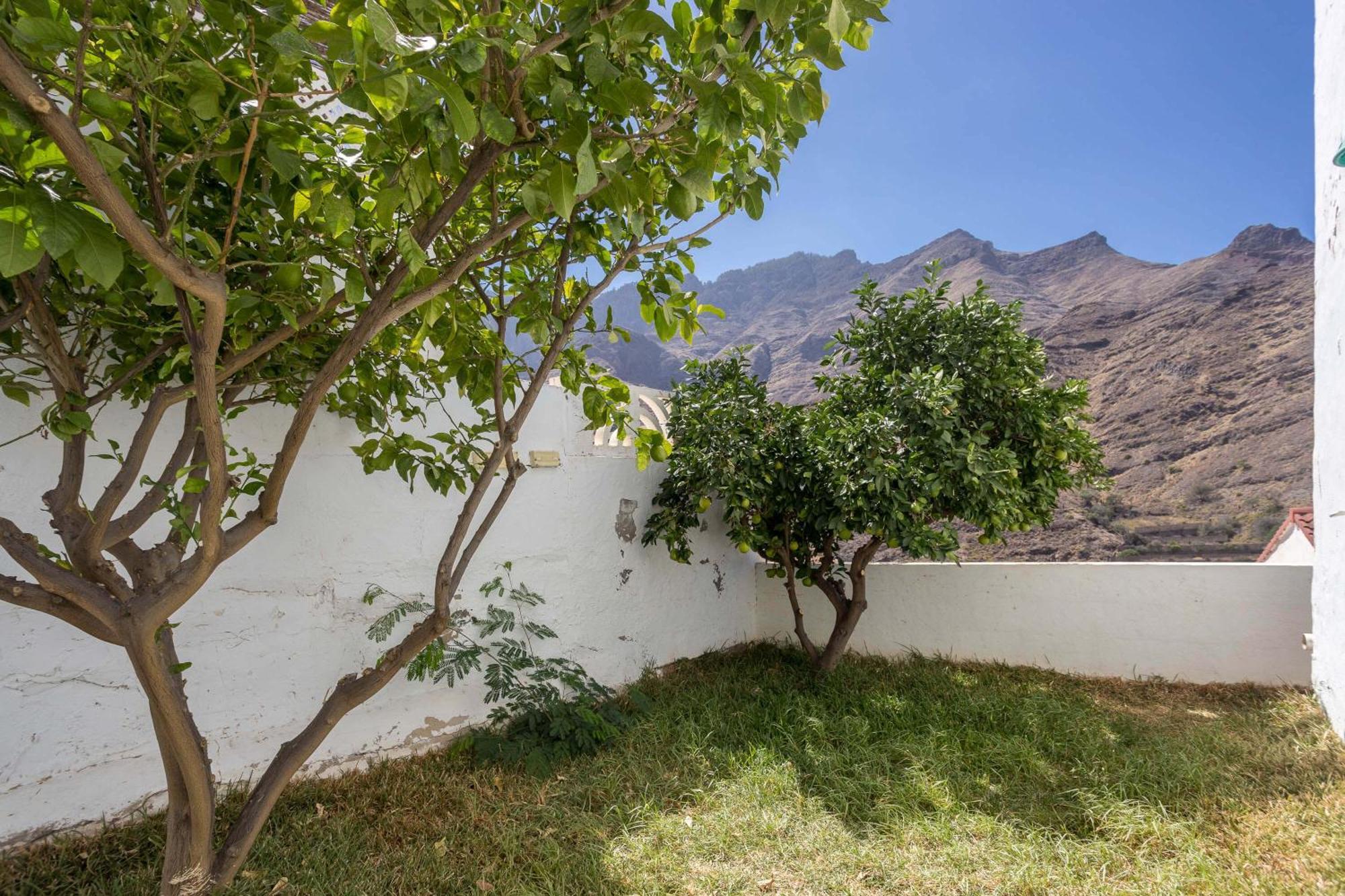 Appartement Casa Carmen Agaete Con Terraza Y Vistas Al Mar Extérieur photo