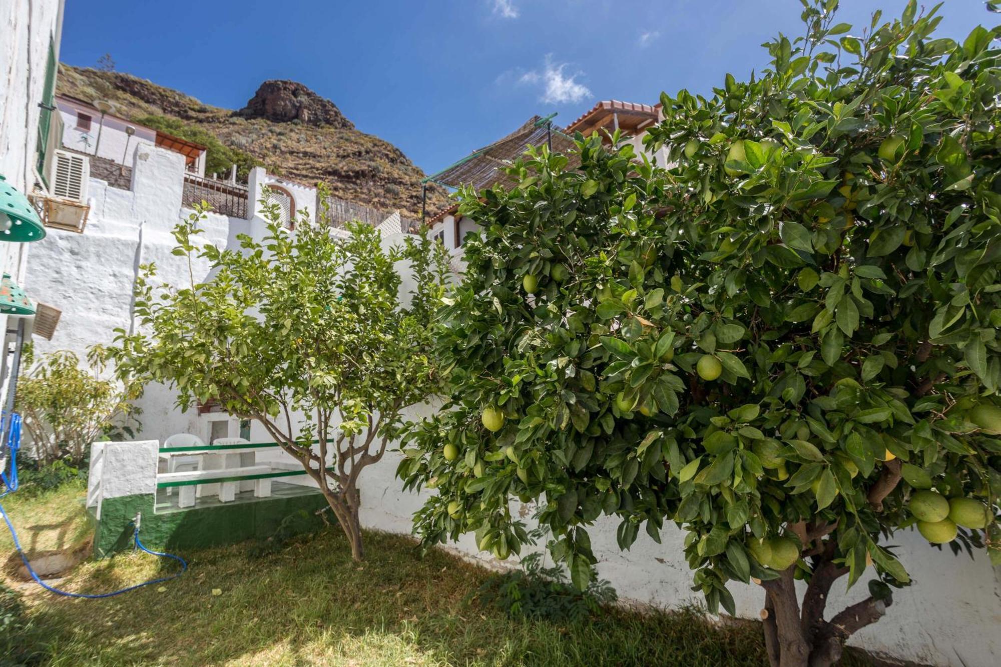 Appartement Casa Carmen Agaete Con Terraza Y Vistas Al Mar Extérieur photo